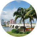 Palm trees and downtown skyline of West Palm Beach representing Centella Florida medical imaging solutions